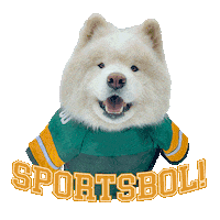 Ryder Samoyed Sticker