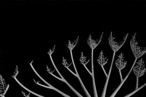 zoetrope GIF