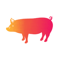 Pig Zodiac Sticker by diamondnplatinum