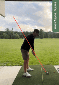 golfswingreplay golfswingreplay GIF