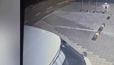 yj_jane giphyupload GIF