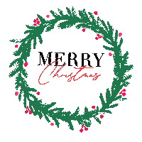 Merry Christmas Sticker by Crush Models