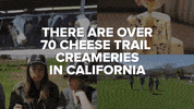 GIF by BuzzFeed