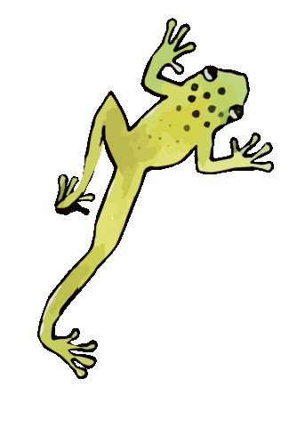 ARXHml giphyupload arx arxhml mistanyttuulee Sticker