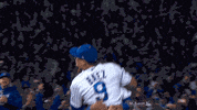 Group Hug Celebration GIF by MLB