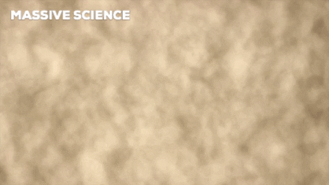 Leaving Stop Motion GIF by Massive Science
