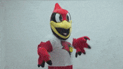 Mascot Reggie GIF by Illinois State University