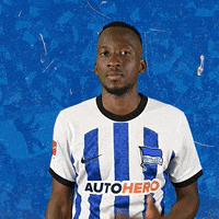 Bundesliga Berlin GIF by Hertha BSC