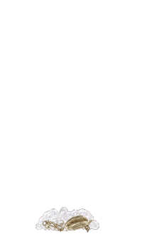 Giambattista Valli Love Sticker by H&M