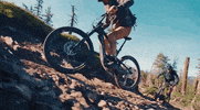 GIF by Santa Cruz Bicycles