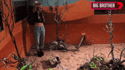 Scared Big Brother GIF by Big Brother Australia