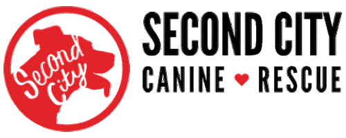 sccrmarketing giphyupload rescue adopt dont shop second city Sticker