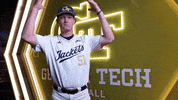 Georgia Tech Baseball GIF by Georgia Tech Yellow Jackets