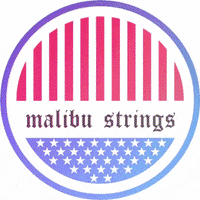 Malibustrings malibu strings bikinis malibustrings GIF