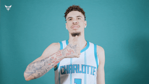 Hive Mentality Lamelo Ball GIF by Charlotte Hornets