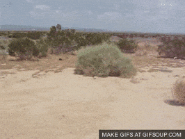tab upload GIF