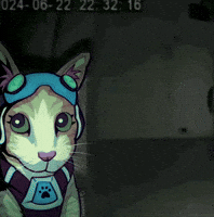 ikadakat overwatch ow2 jetpack cat overwatch meme GIF