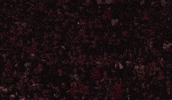 Swag Surf GIF by Texas Tech Football
