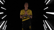 Wipe Germany GIF by Bundesliga