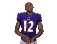 Baltimore Ravens Sticker Sticker by NFL