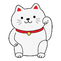 Cat Money Sticker