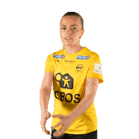 Toppserien Forza Birdsa Sticker by LSK Kvinner FK