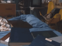 the mystery files of shelby woo nicksplat GIF