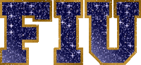 college glitter Sticker by FIU