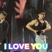 I Love You Stray Kids GIF
