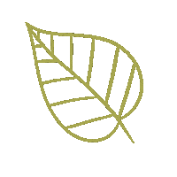 Plant Leave Sticker by Tacméla