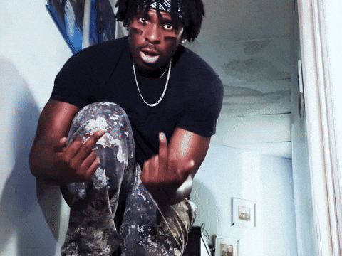Bird Middle Finger GIF by broke