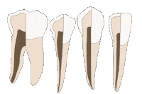 Teeth Tooth Sticker