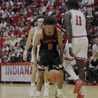 Lets Go Hype GIF by Maryland Terrapins