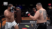 Square Up Locked In GIF by Dirty Boxing Championship