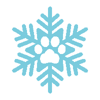 Snow Winter Sticker by Alphavet