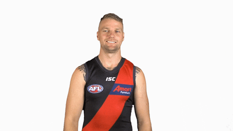essendonfc giphyupload jake dons bombers GIF