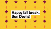 GIF by Arizona State University