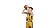 Basketball Points Sticker by Trefl Sopot