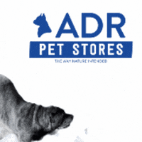 adrpetstores  GIF