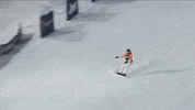 Snowboarding World Series GIF by X Games 