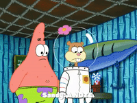 season 5 GIF by SpongeBob SquarePants