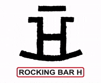 rockingbarh  GIF