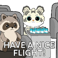 Travel Sticker by Ordinary Frends