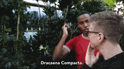 tyleroakley flower youtube house plant GIF