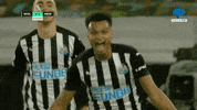 Fun Celebration GIF by MolaTV