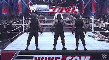 GIF by WWE