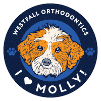 Dogs Puppy Sticker by Westfall Orthodontics