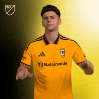 Calm Down Chill Out GIF by Major League Soccer