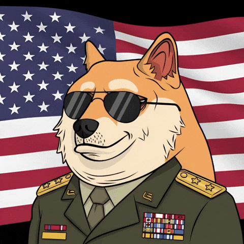 Nft Usa GIF by Doge Pound
