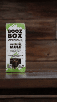 Party Summer GIF by Booz Box Cocktails